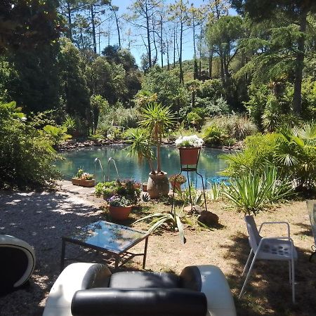 Chambre Studio Verparadis Moureze Exterior photo